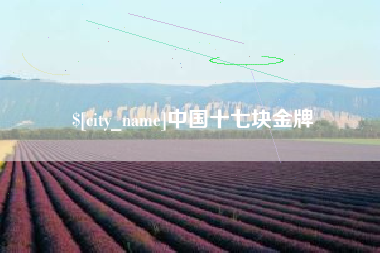 靖江中国十七块金牌