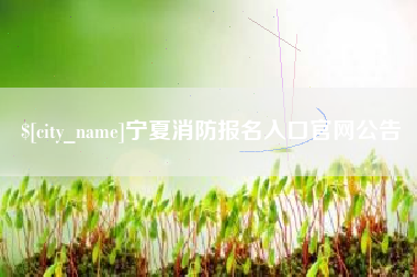 靖江宁夏消防报名入口官网公告