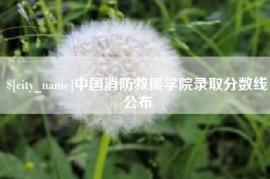 靖江中国消防救援学院录取分数线公布