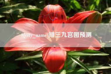 靖江排三九宫图预测