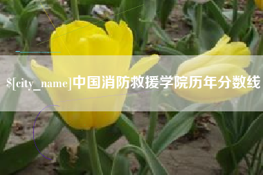 靖江中国消防救援学院历年分数线