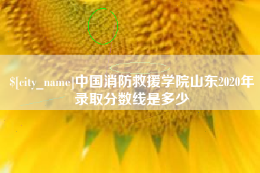 靖江中国消防救援学院山东2020年录取分数线是多少