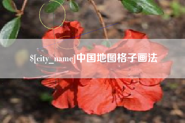 靖江中国地图格子画法