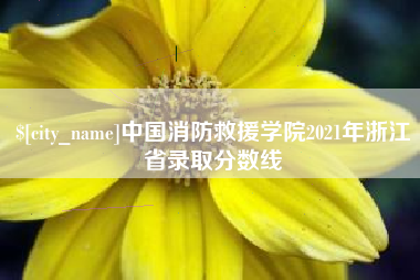 靖江中国消防救援学院2021年浙江省录取分数线