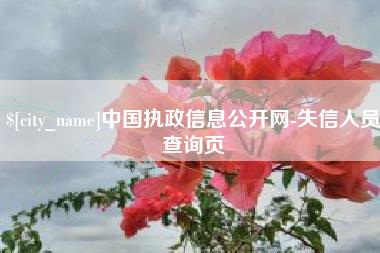 靖江中国执政信息公开网-失信人员查询页