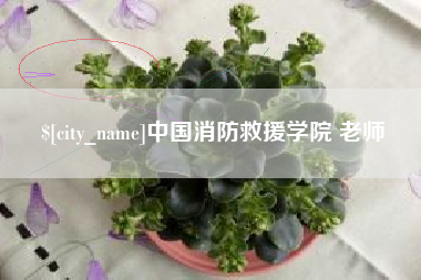 靖江中国消防救援学院 老师