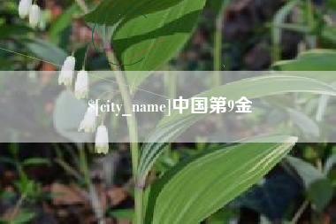 靖江中国第9金