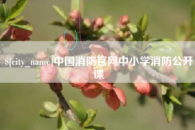 靖江中国消防官网中小学消防公开课