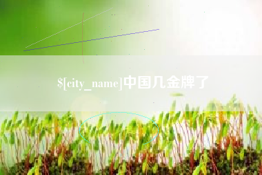 靖江中国几金牌了