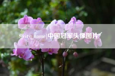 靖江中国冠军头像图片