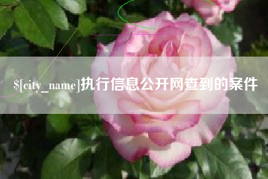 靖江执行信息公开网查到的案件