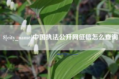 靖江中国执法公开网征信怎么查询