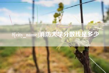 靖江消防大学分数线是多少