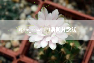 靖江2021消防分数线