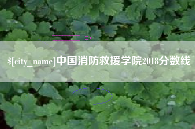 靖江中国消防救援学院2018分数线