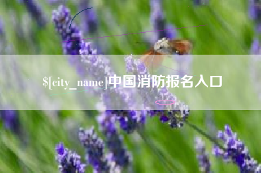 靖江中国消防报名入口