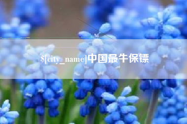 靖江中国最牛保镖