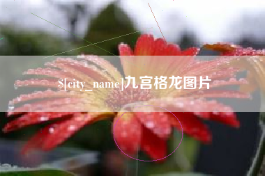 靖江九宫格龙图片