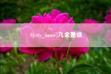 靖江九金是谁