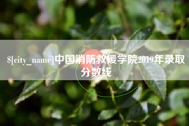靖江中国消防救援学院2019年录取分数线