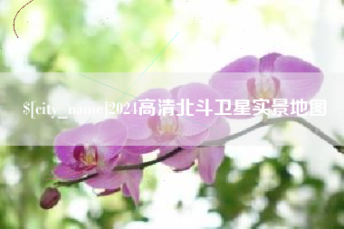 靖江2024高清北斗卫星实景地图