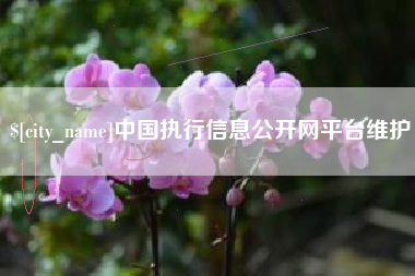 靖江中国执行信息公开网平台维护