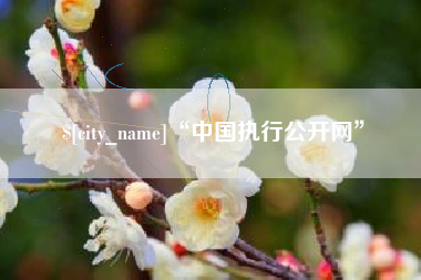 靖江“中国执行公开网”
