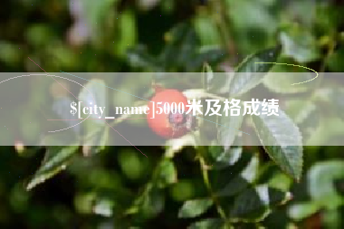 靖江5000米及格成绩