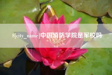 靖江中国消防学院是军校吗