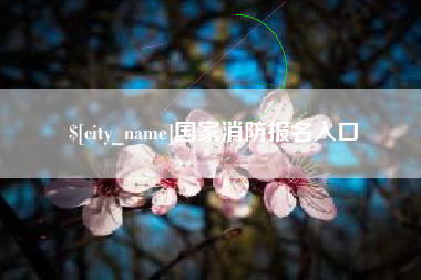 靖江国家消防报名入口
