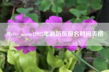 靖江2025年消防员报名时间表格