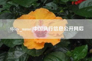 靖江中国执行信息公开网后