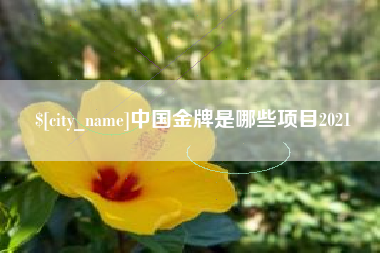 靖江中国金牌是哪些项目2021