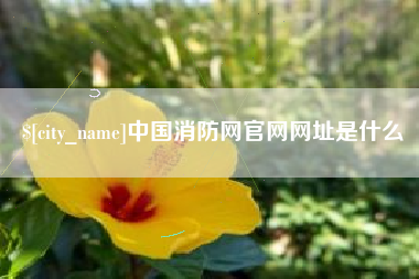靖江中国消防网官网网址是什么