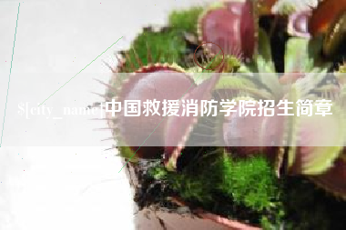 靖江中国救援消防学院招生简章
