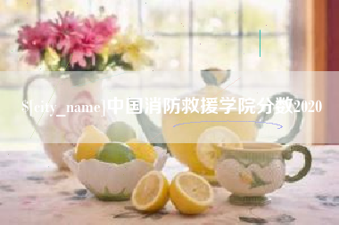 靖江中国消防救援学院分数2020