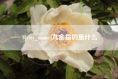 靖江九金指的是什么