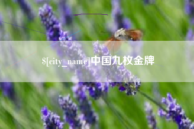 靖江中国九枚金牌