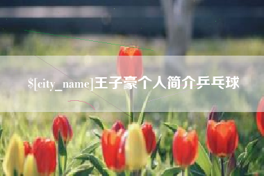 靖江王子豪个人简介乒乓球