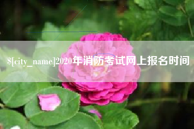 靖江2020年消防考试网上报名时间