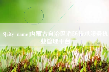靖江内蒙古自治区消防技术服务执业管理平台