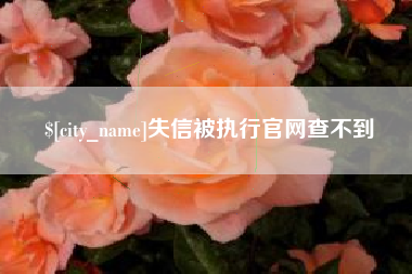 靖江失信被执行官网查不到