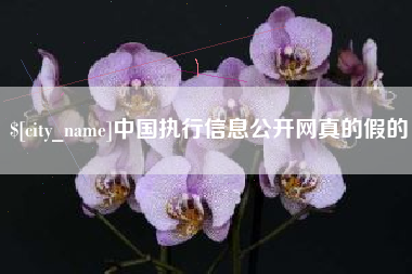 靖江中国执行信息公开网真的假的