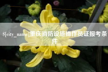 靖江重庆消防设施操作员证报考条件