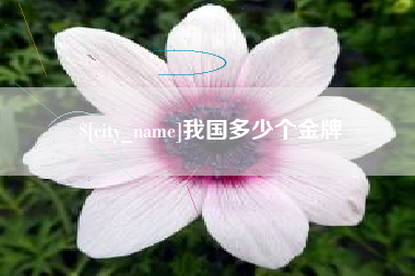 靖江我国多少个金牌