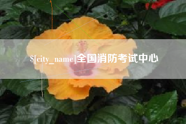 靖江全国消防考试中心