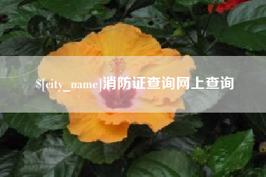 靖江消防证查询网上查询