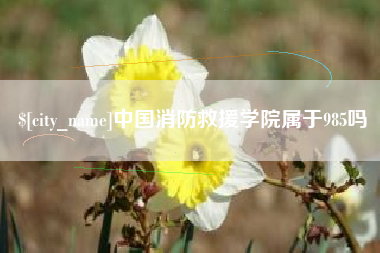 靖江中国消防救援学院属于985吗