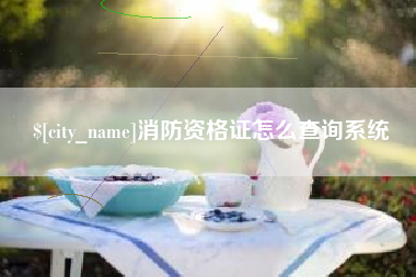 靖江消防资格证怎么查询系统