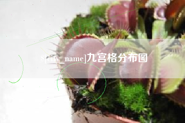 靖江九宫格分布图